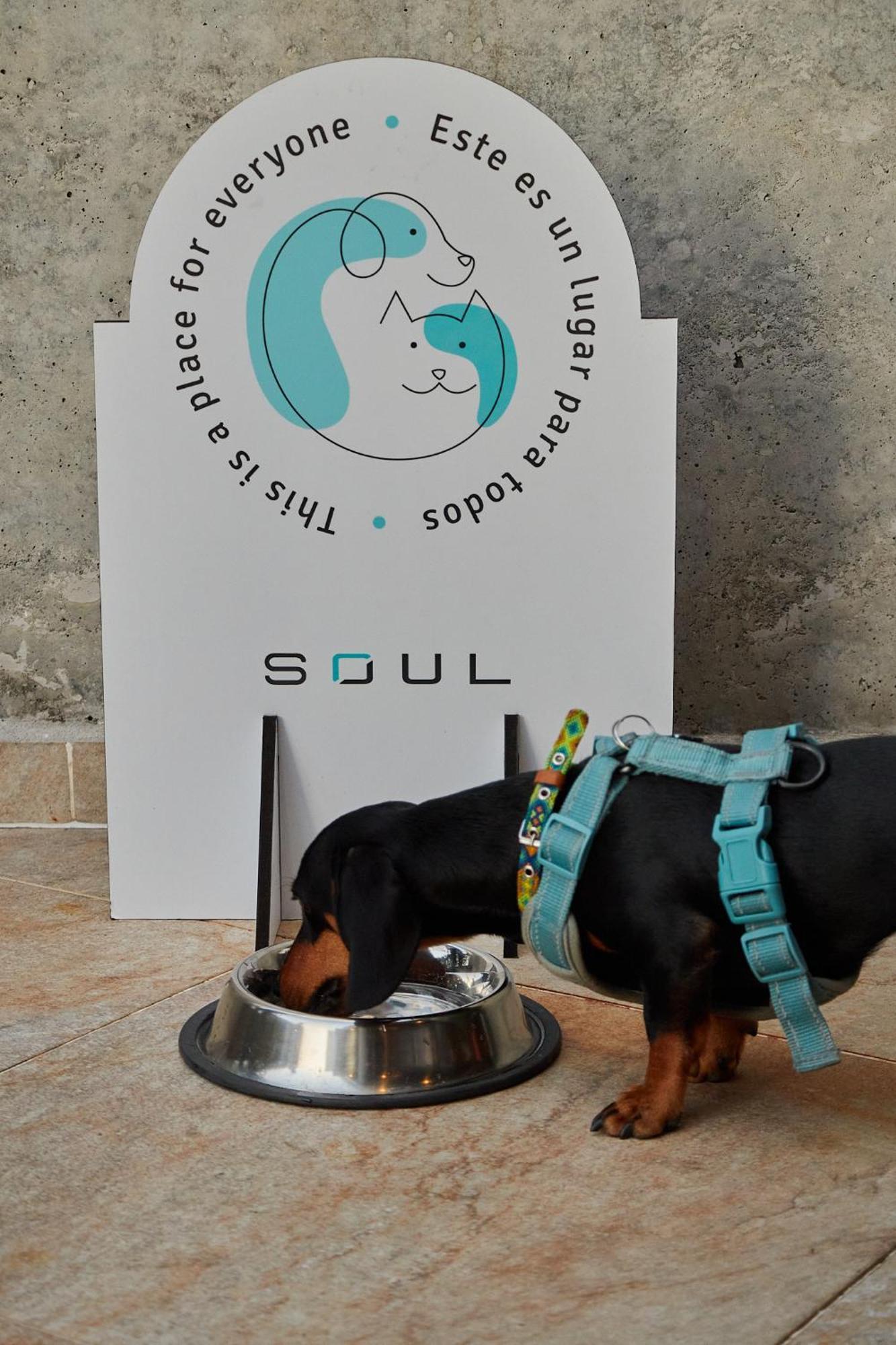 Soul Lifestyle Hotel 麦德林 外观 照片